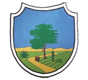 Brasão de Baraúna