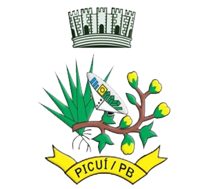 Brasão de Picuí